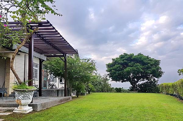 夢園鎮園茄苳樹為青雲親手栽種的.jpg