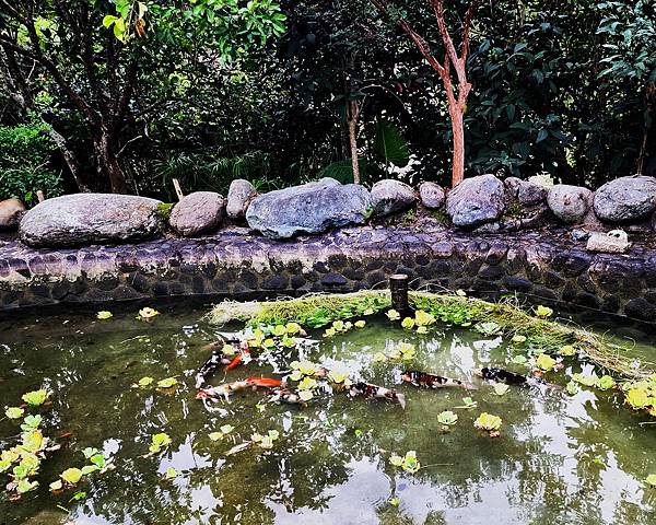 夢園魚塘清淤雜記