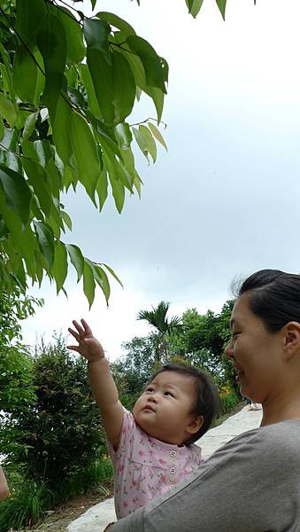P1070935.jpg