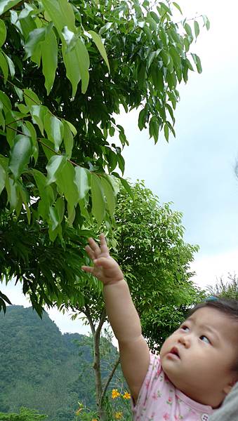 P1070937.jpg