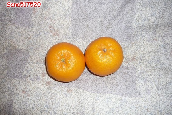 日本橘子.jpg