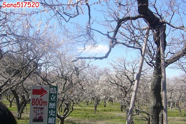 P1010914.jpg