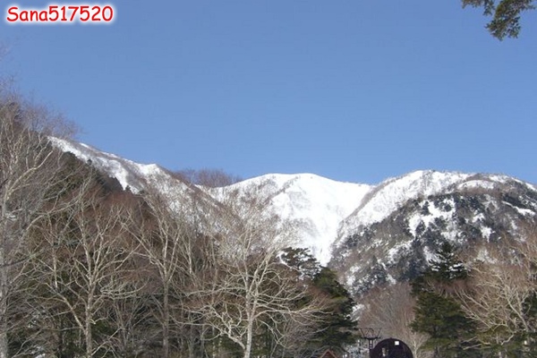 P1020155.jpg