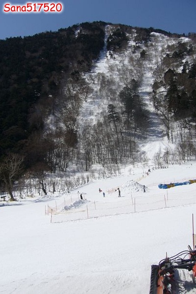 P1020163.jpg