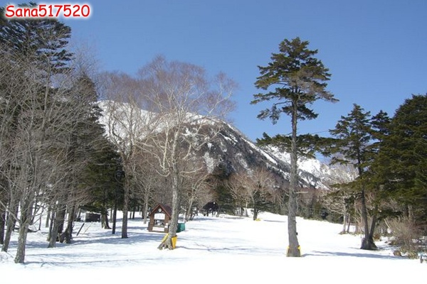 P1020167.jpg