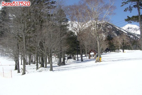 P1020173.jpg