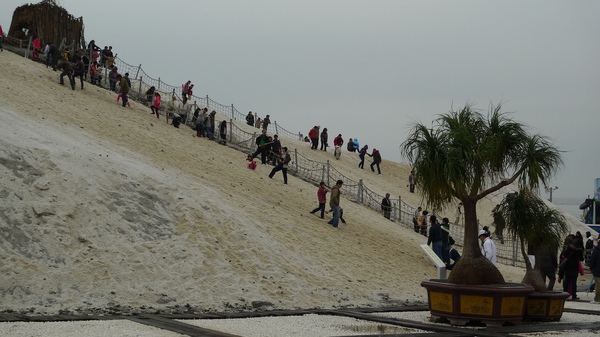 P1020123.jpg