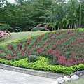 P1010805.jpg