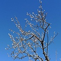 P1010869.jpg