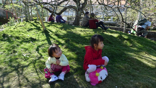 P1010873.jpg