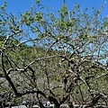 P1010876.jpg