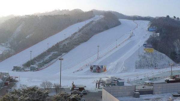 P1020343.jpg