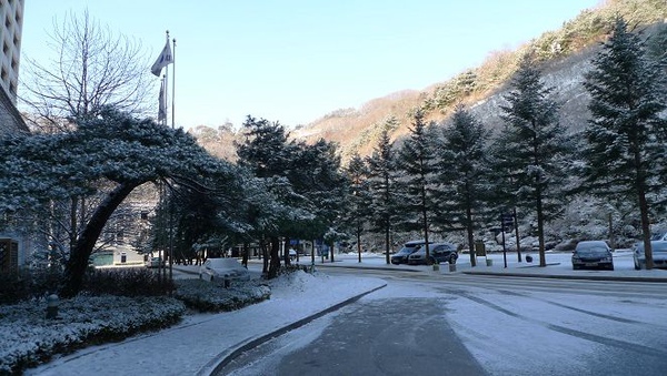 P1020395.jpg