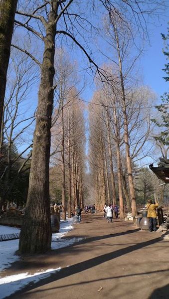 P1020445.jpg