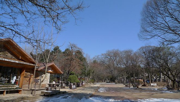 P1020452.jpg