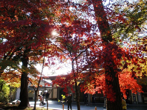 中尊寺_文物館5.JPG