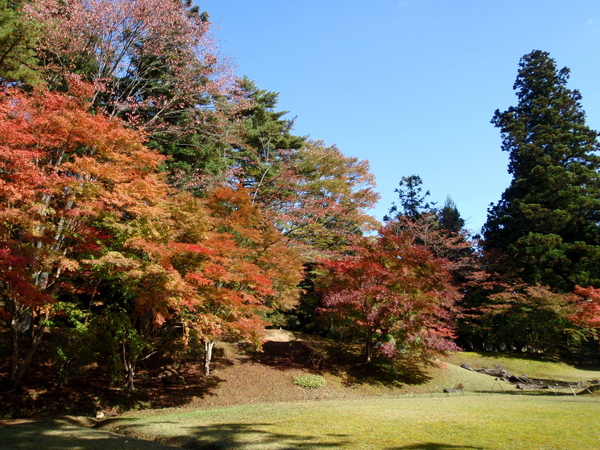 毛越寺_紅葉0.JPG