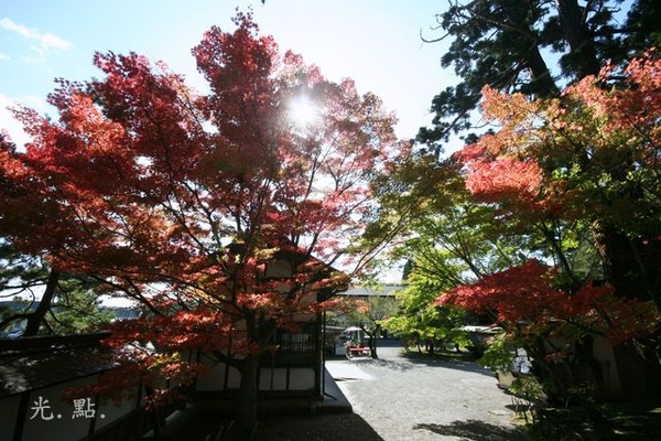 毛越寺_大景3.JPG