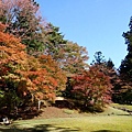 毛越寺_紅葉0.JPG