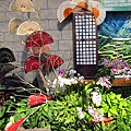 扇子與蘭花.JPG