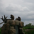 monkey.JPG