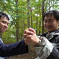 斷背山  2.JPG
