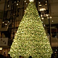 eaton center 聖誕樹.JPG