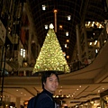 eaton center 聖誕樹 1.JPG