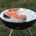 2007 summer BBQ 2.jpg