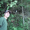 Blue Jay.JPG