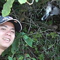Blue Jay -1.JPG