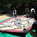 搭帳篷ing -1.JPG