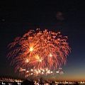 firework 1.JPG