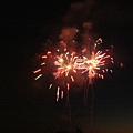 firework 4.JPG
