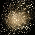 firework 7.JPG
