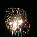 firework 9.JPG