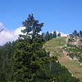 山可以坐這個完.JPG