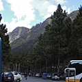 溪頭停車場景致.JPG