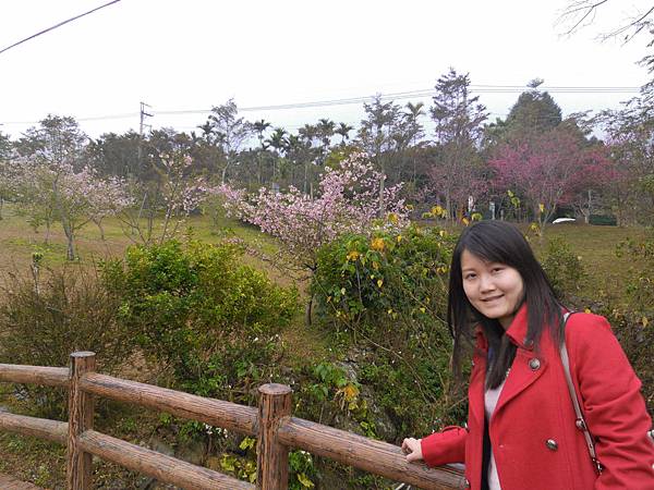 櫻花公園有小橋.JPG