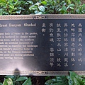 榕蔭大池.JPG