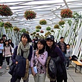 花之隧道 2.JPG