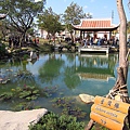 清澈的蓮花池.JPG