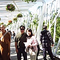 花之隧道 1.JPG