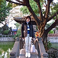 窈窕淑女.JPG