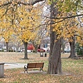 Niagara-On-the-Lake 公園 1.jpg