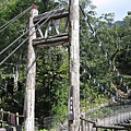 樂米吊橋.JPG