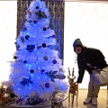 馥華商旅聖誕樹.JPG