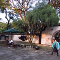 柳樹與蝙蝠.JPG