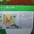 林下花海.JPG