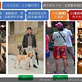 投影片18.JPG